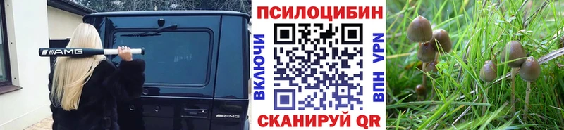 Псилоцибиновые грибы Psilocybine cubensis  Сельцо 